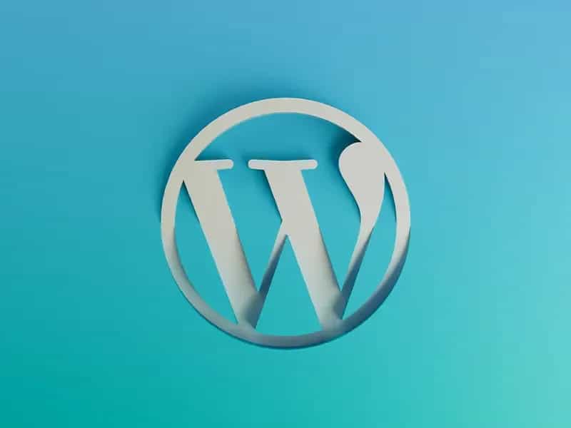 WordPress Hosting Nedir?