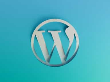 WordPress Hosting Nedir?